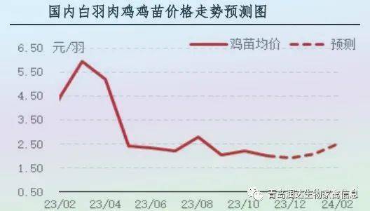 鸡的最新价格，市场走势与影响因素探讨