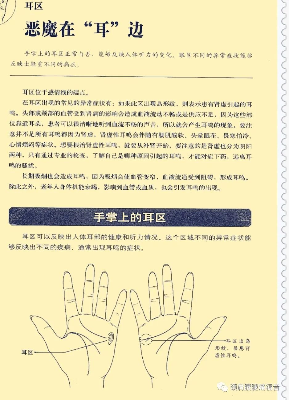 最新手诊图，解读身体语言的新篇章