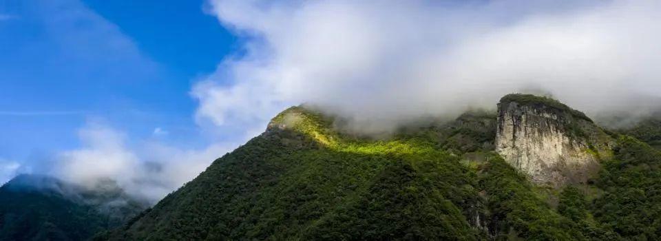 最新探索器的探索之旅，揭示未知世界的奥秘