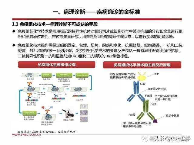 免疫诊断最新进展及其应用前景