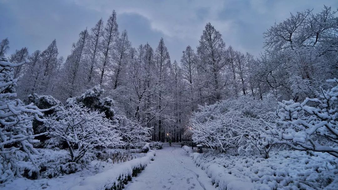 最新湖看雪，一场美丽的冬日邂逅