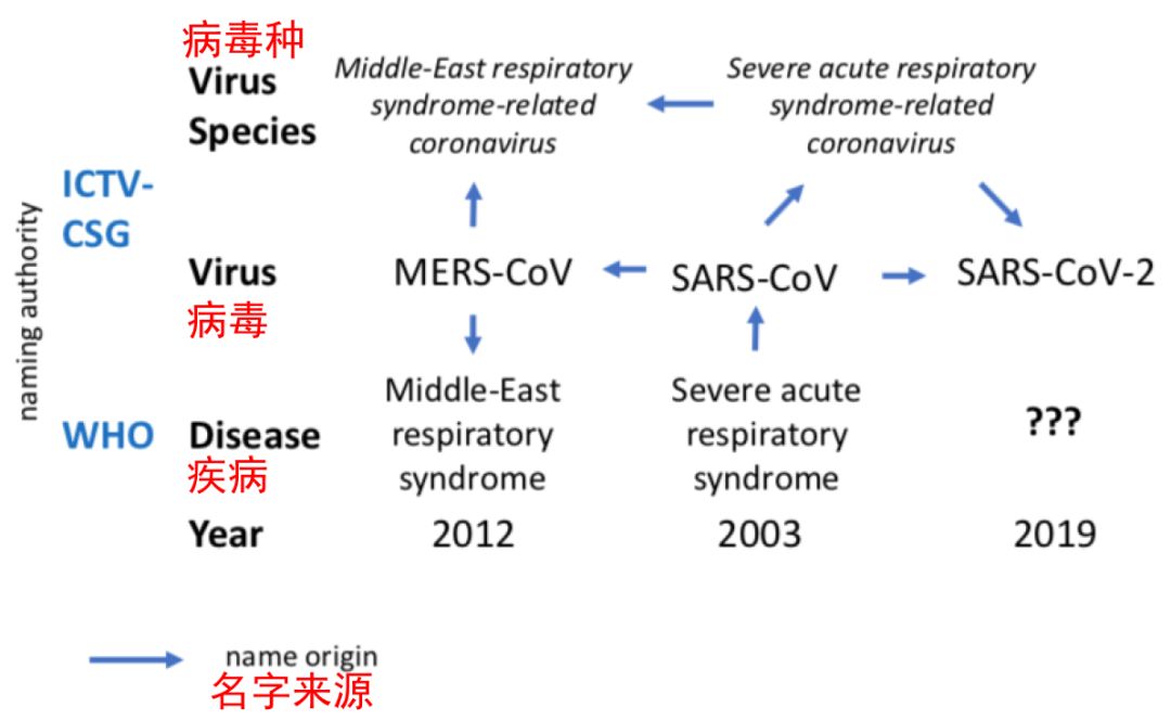 病毒最新名称及其影响研究