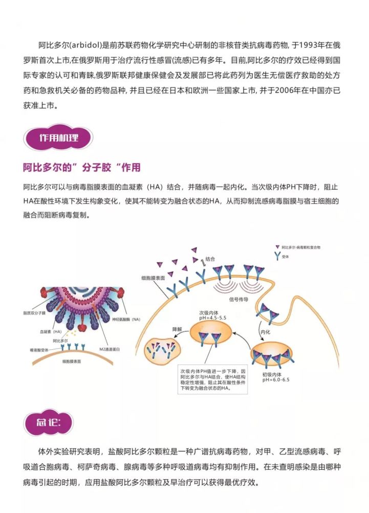 阿比多尔最新研究进展及其影响