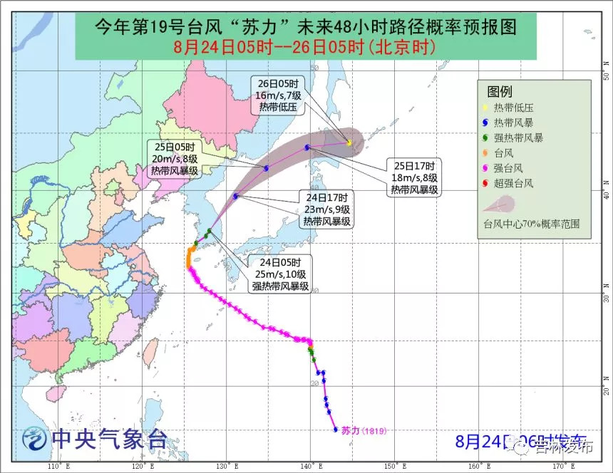 津道最新价格动态及其影响