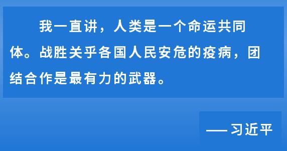 最新黄虫疫情，全球的挑战与应对策略