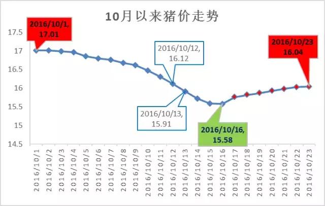 最新猪价情况分析