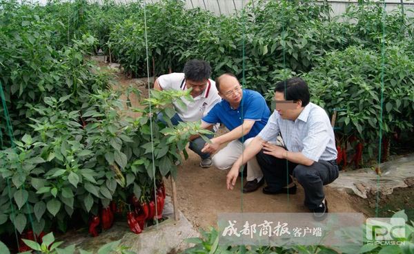 刘光基的最新动态与成就