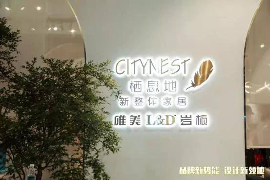 最新款欧派，设计之美与功能的完美结合