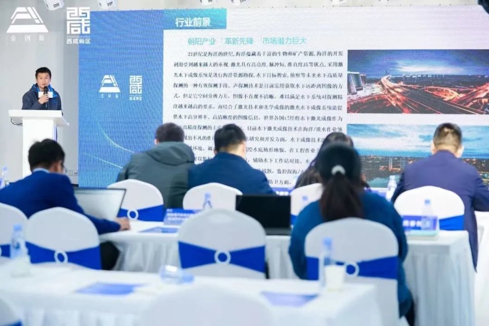 创资公司最新招聘动态及人才需求解析