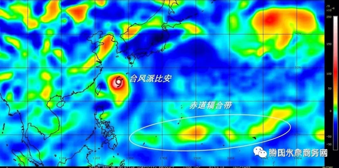 台风胚胎最新预测，全球视野下的气象挑战与应对策略