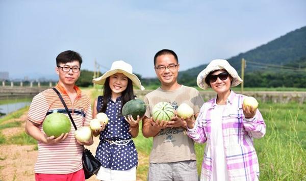 种田文gl最新，探索田园生活的浪漫与真实